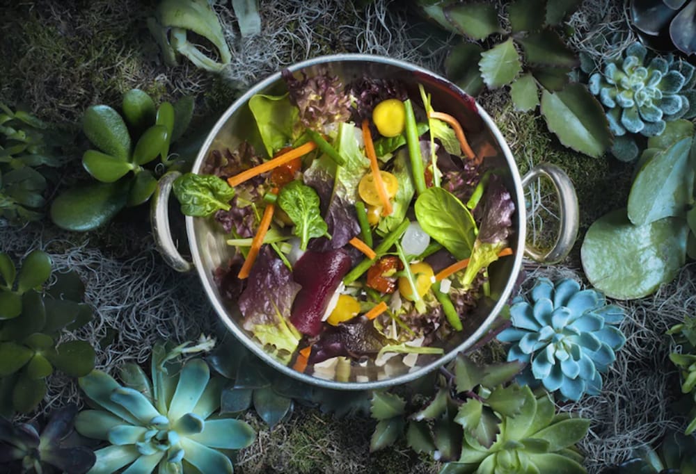 The Principal Madrid